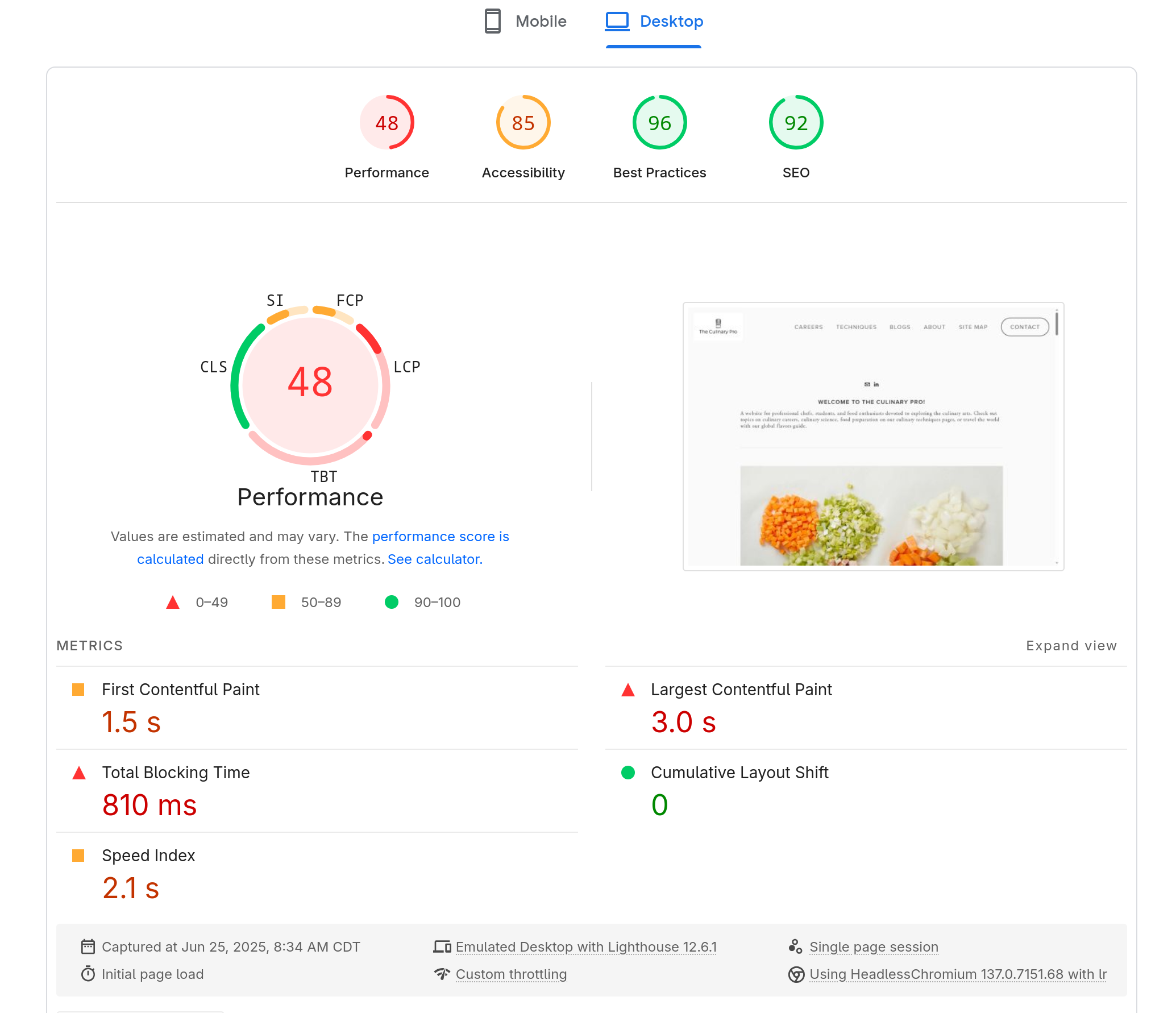 Website Performance Audit Results